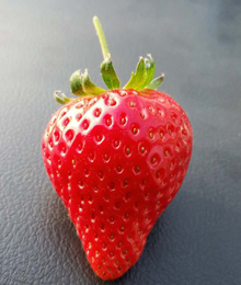 山东草莓